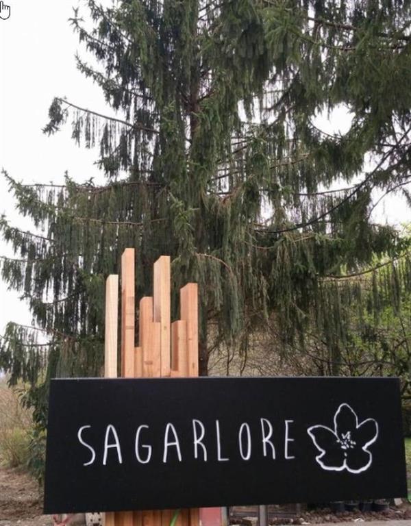 Rural Sagarlore Astigarraga